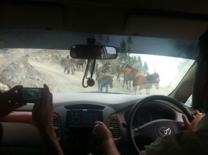 auf der Strasse nach Leh