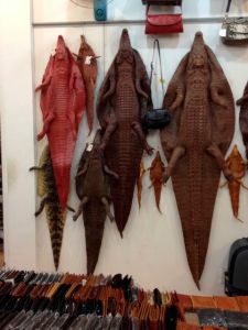 Ein neuer Teppich gefällig?