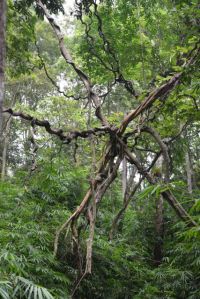 unterwegs zu den Wasserfällen