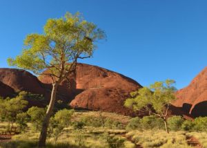 Olgas - Kata Tjuta