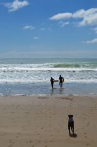 Surfversuche in Tutukaka