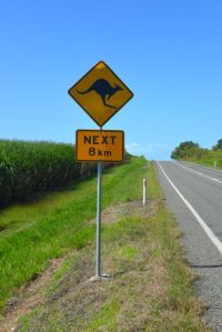 ein obligatorisches Bild aus Australien