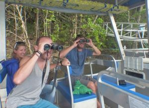 Krokodil Suche auf dem Daintree River