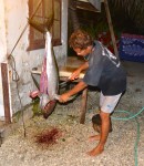 "Unser" Fischer auf Rangiroa mit einem Tuna