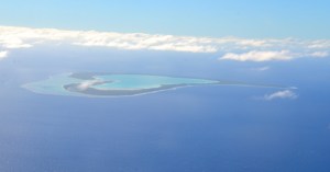 Die Liebesinsel (Tupai) ;-)