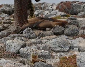 Die Kombination machts aus...