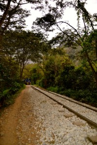 Entlang der Bahnlinie gehts von Hidroelectrica nach Aguas Calientes