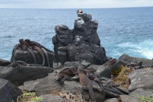 Sie haben sich alle soooo gern...