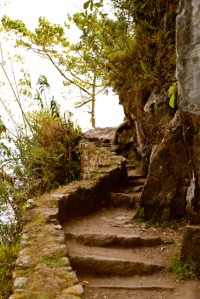 Weg zur Inka Bridge