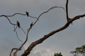 Wir werden beobachtet...