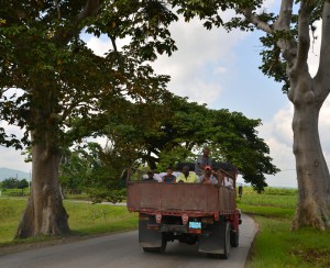 öffentlicher Verkehr