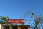 das berühmte Ricks Café in Negril