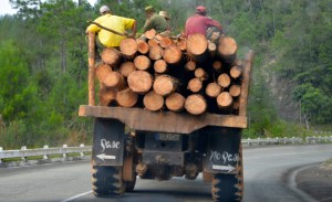 Holztransport