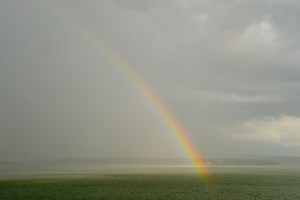 Naturspektakel in Cienfuegos